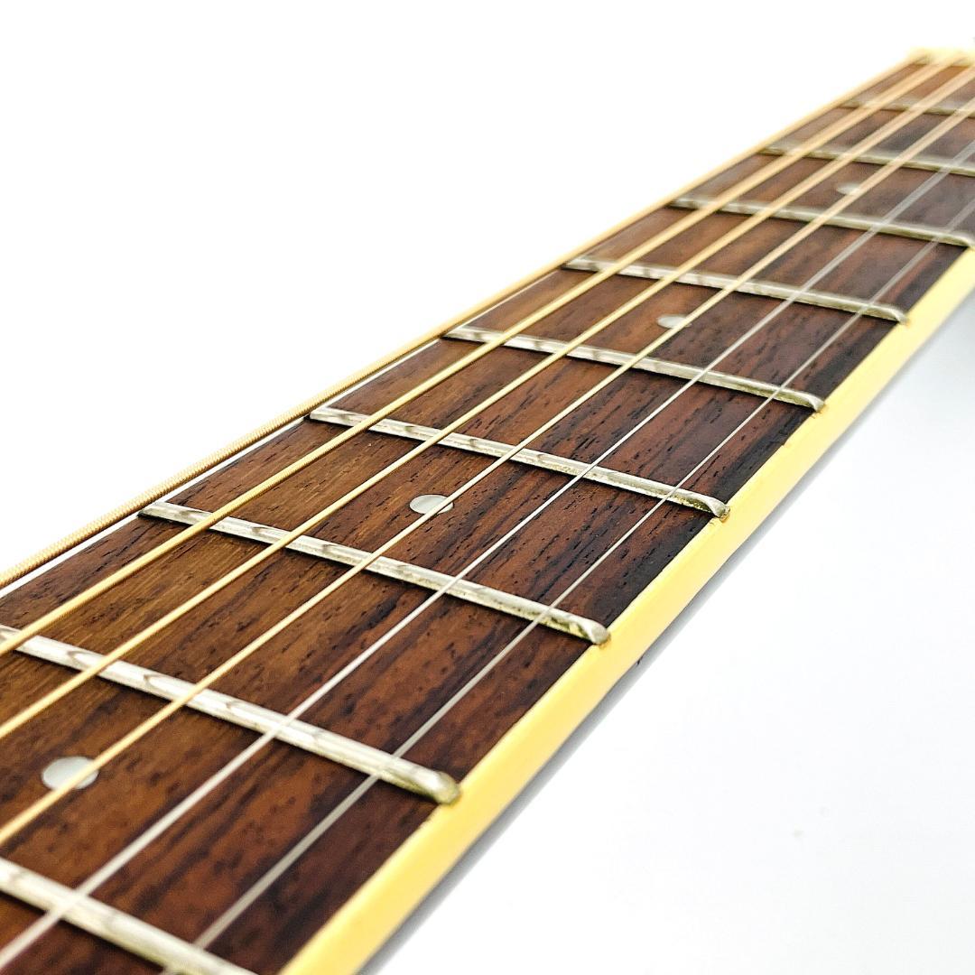 Legend FG-20 BK アコースティックギター ソフトケース付【整備品】