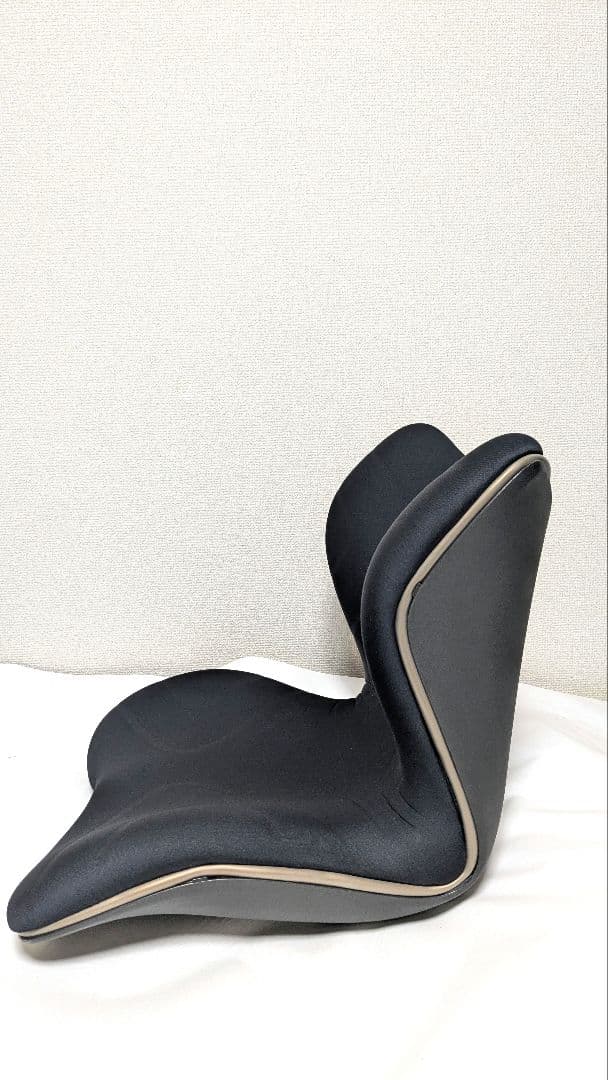 MTG スタイルプレミアム STYLE PREMIUM骨盤サポート ブラック