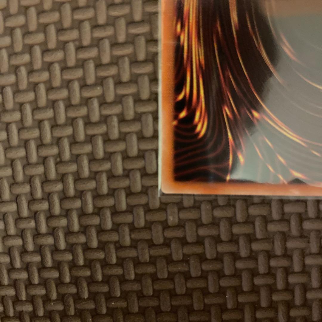 【完美品級】ブラックフェザー・ドラゴン プリシク