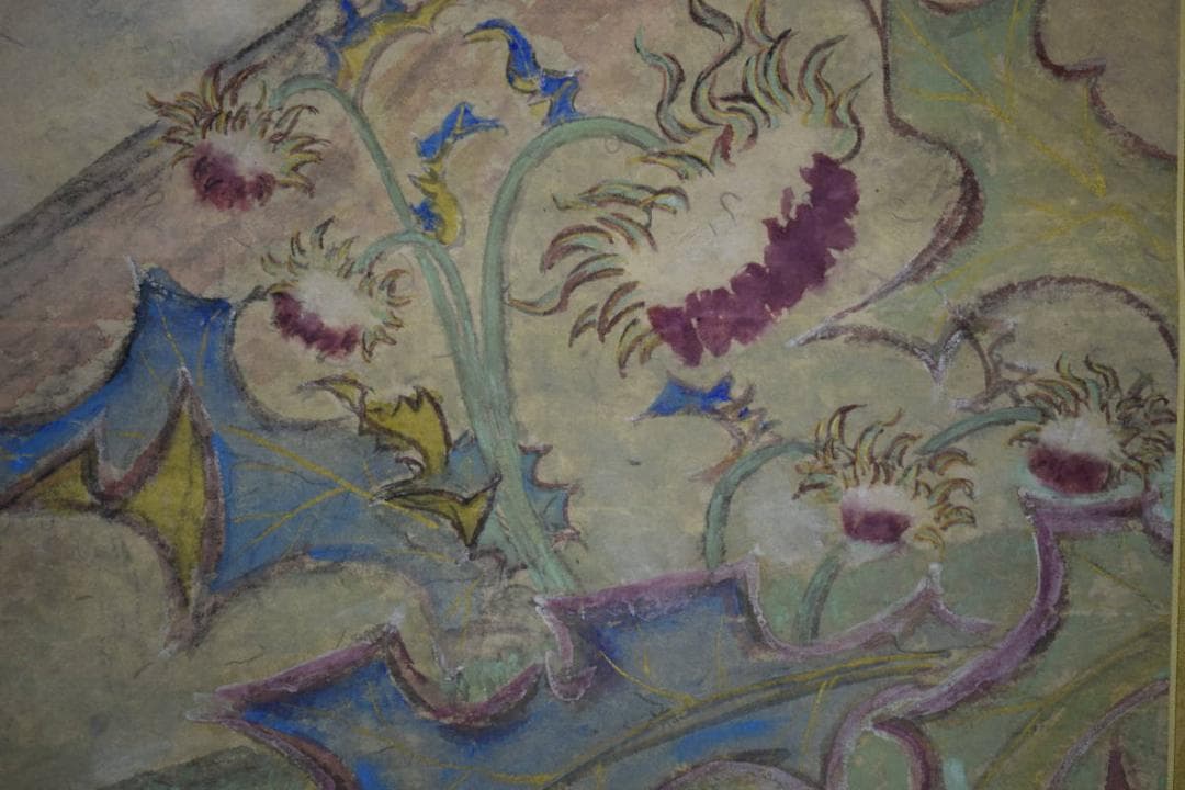 真作/白水/裾野の花/桐共箱付/布袋屋掛軸HH-520