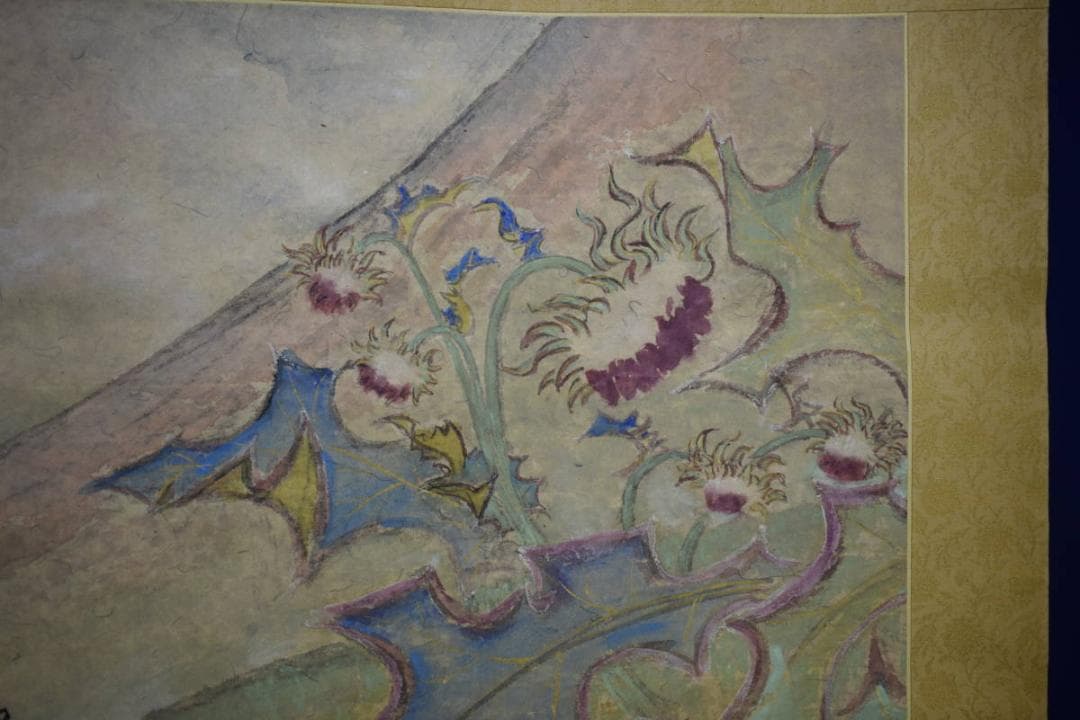 真作/白水/裾野の花/桐共箱付/布袋屋掛軸HH-520