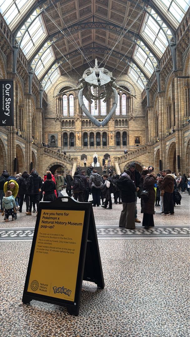 Sale 50枚 Pikachu at the Museum ピカチュウ 博物館