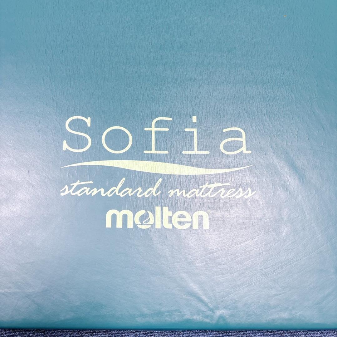 【送料込】molten ソフィアway 介護用マットレス リバーシブル 介護 ⑥