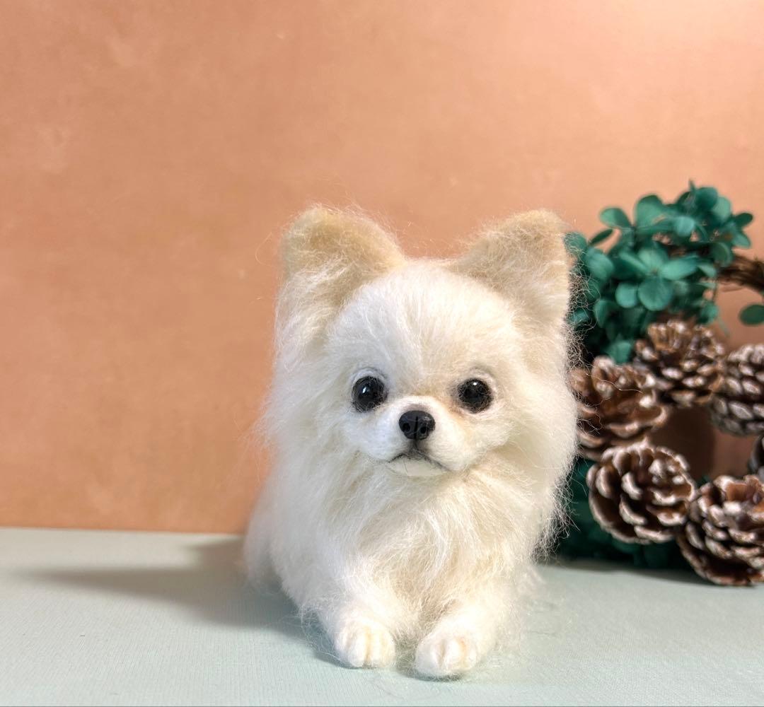 羊毛フェルト　おすましチワワ