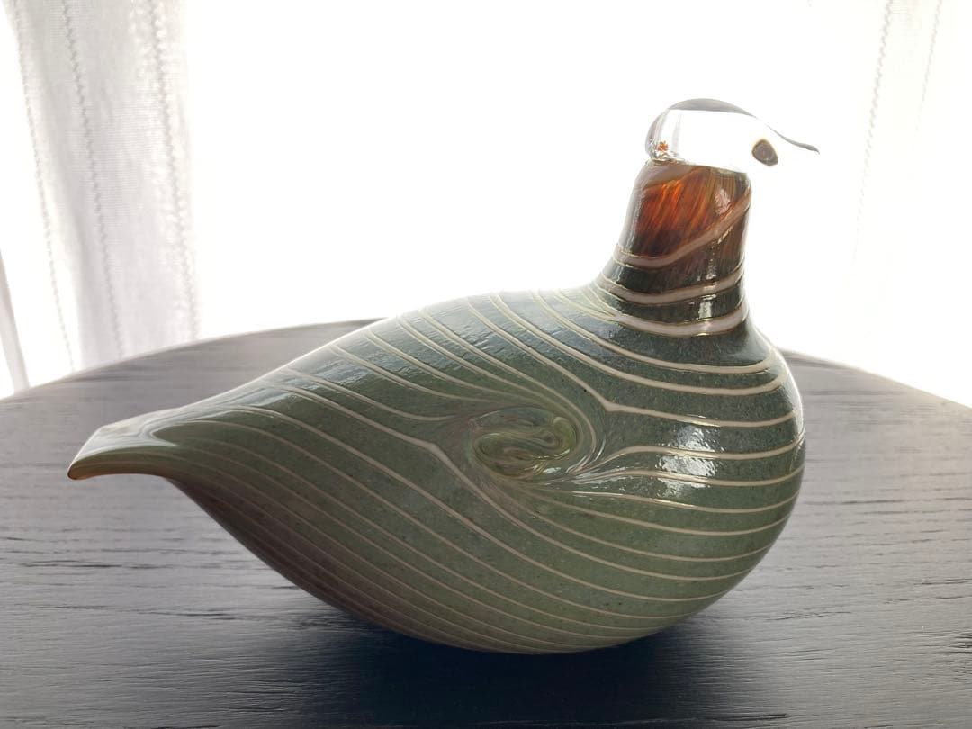 so16Nuutajärvi oiva Long-taled duck 緑