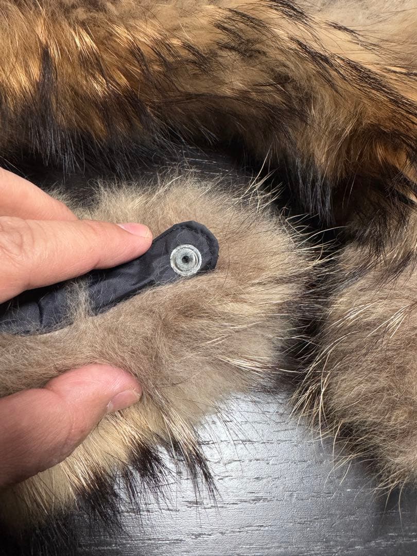 【リアルファーカスタム】THE NORTH FACE / アンタークティカパーカ