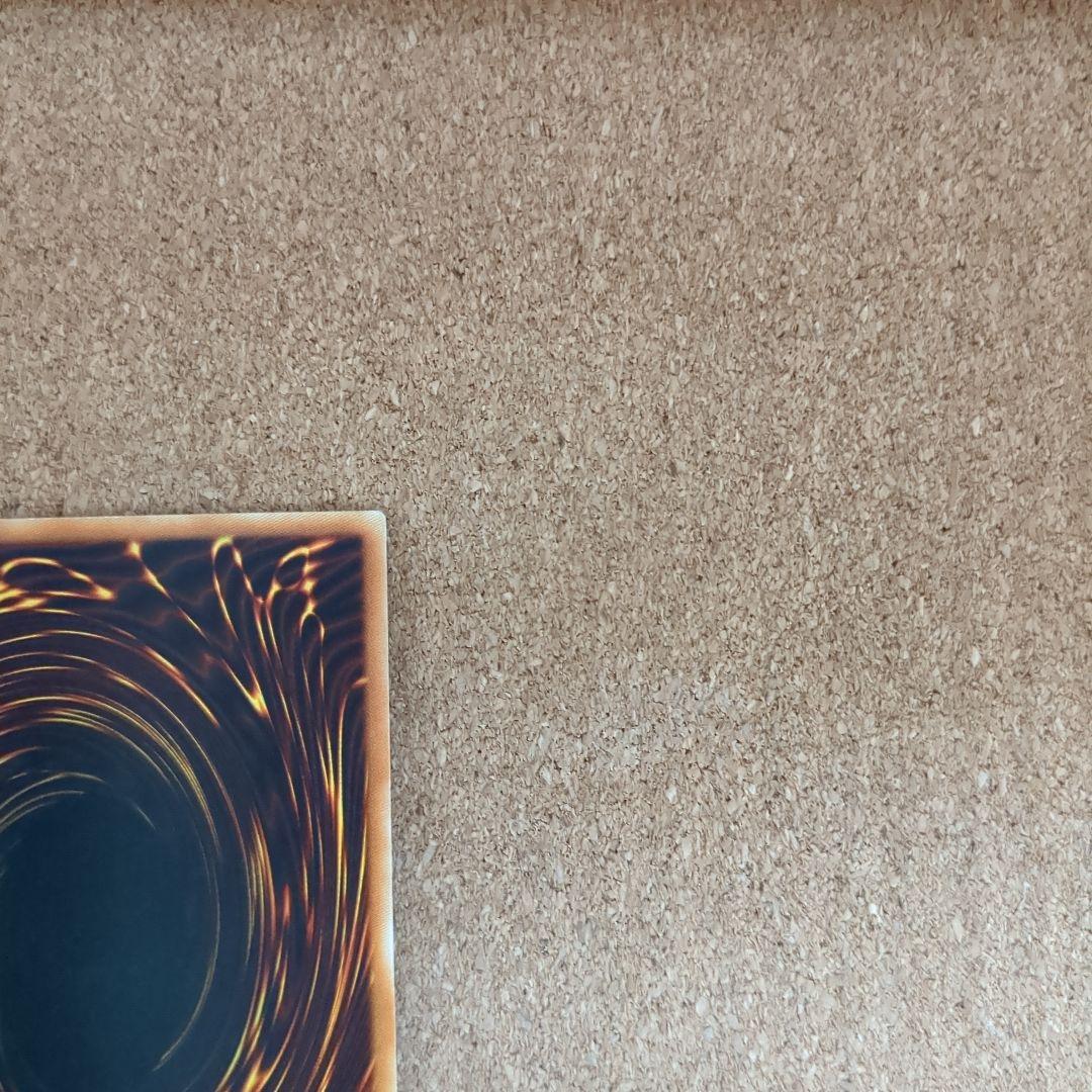 遊戯王♦️絶版旧アジア1st　進化する翼レリーフ