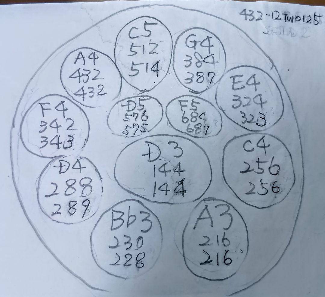 ハンドパン　12音　56センチ Dマイナー A＝432Hz　訳あり品