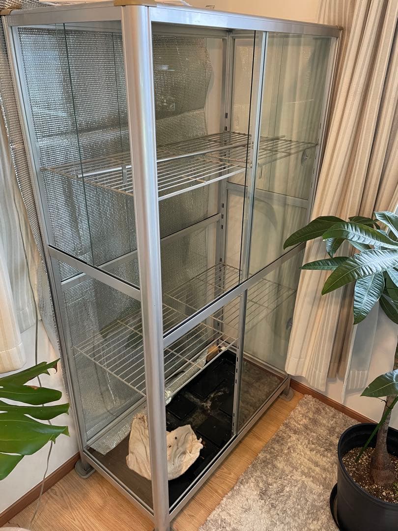 ピカコーポレーション　ガラス温室【引き取り限定】