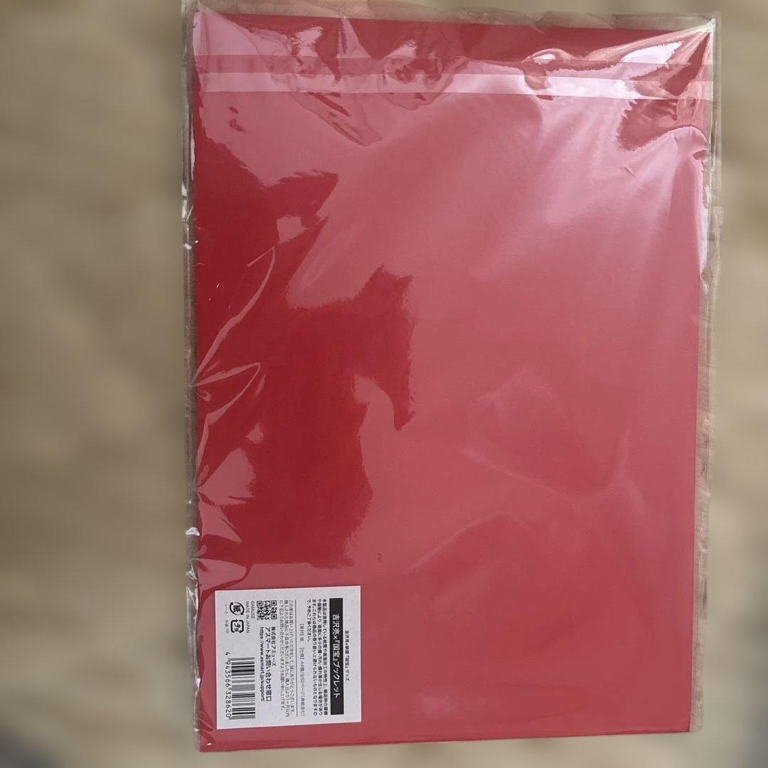 国宝 吉沢亮 ファンクラブ　ブックレット　パンフレット　おまけあり