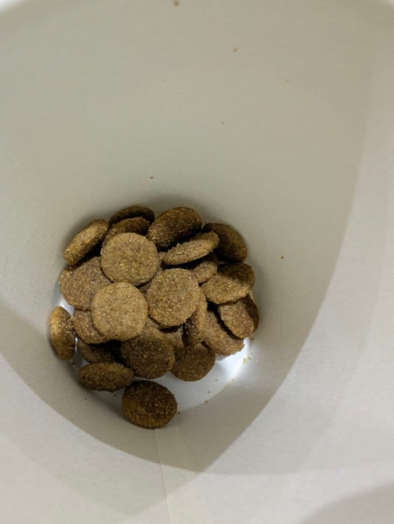 ブリーダーパック ファーストチョイスドライフード 18kg