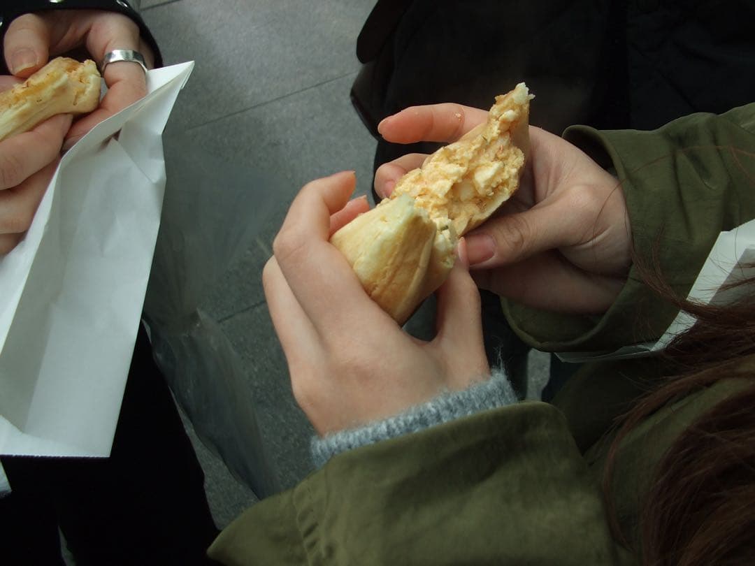 FUJIFILM単三電池使用FinePix A610動作確認済み