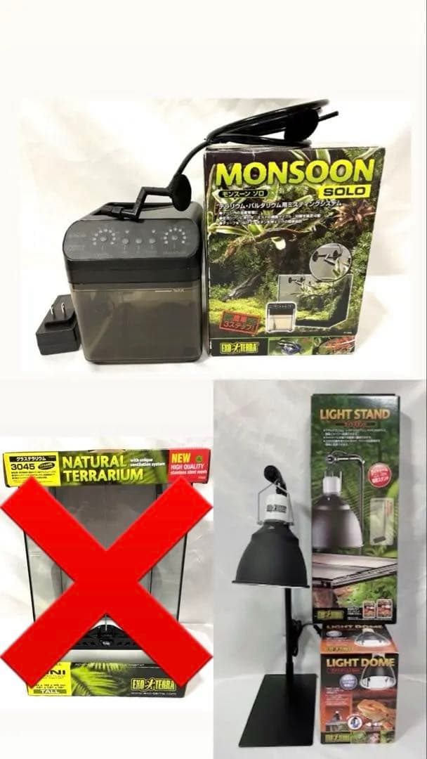 MONSOON SOLO ナチュラルテラリウム セット