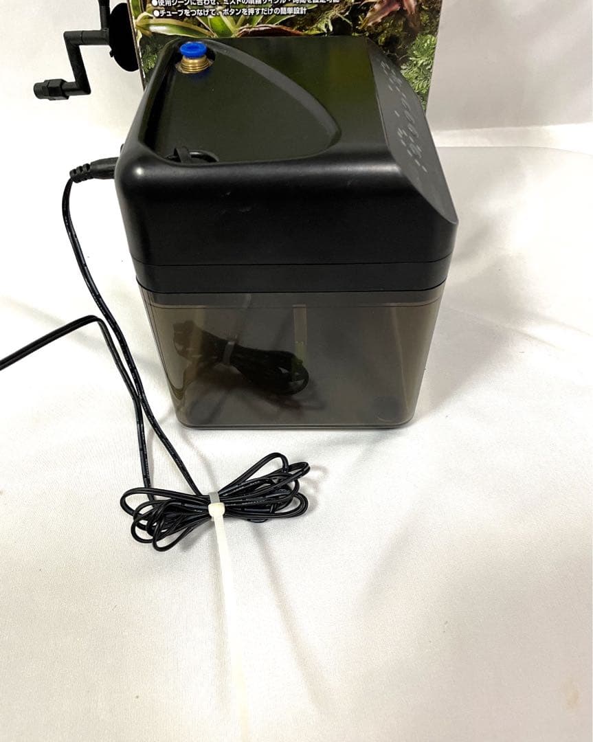 MONSOON SOLO ナチュラルテラリウム セット