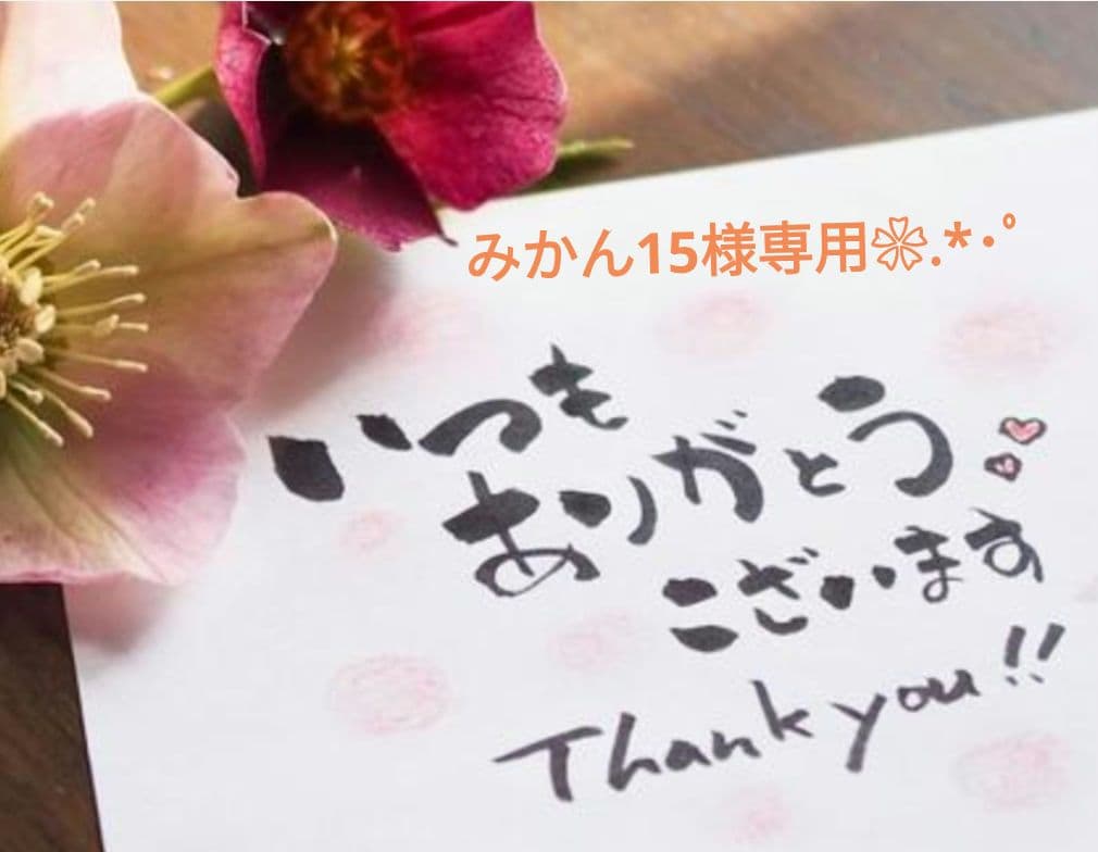 専用　　リクエスト 愛媛県 柑橘ジュース&飲むゼリー