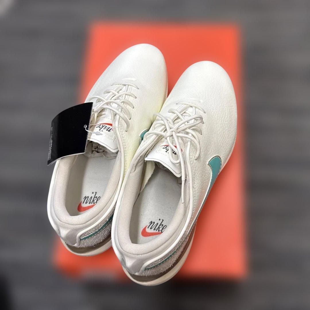 シューズ(男性用) Nike Air Zoom Victory Tour 2 NRG sail