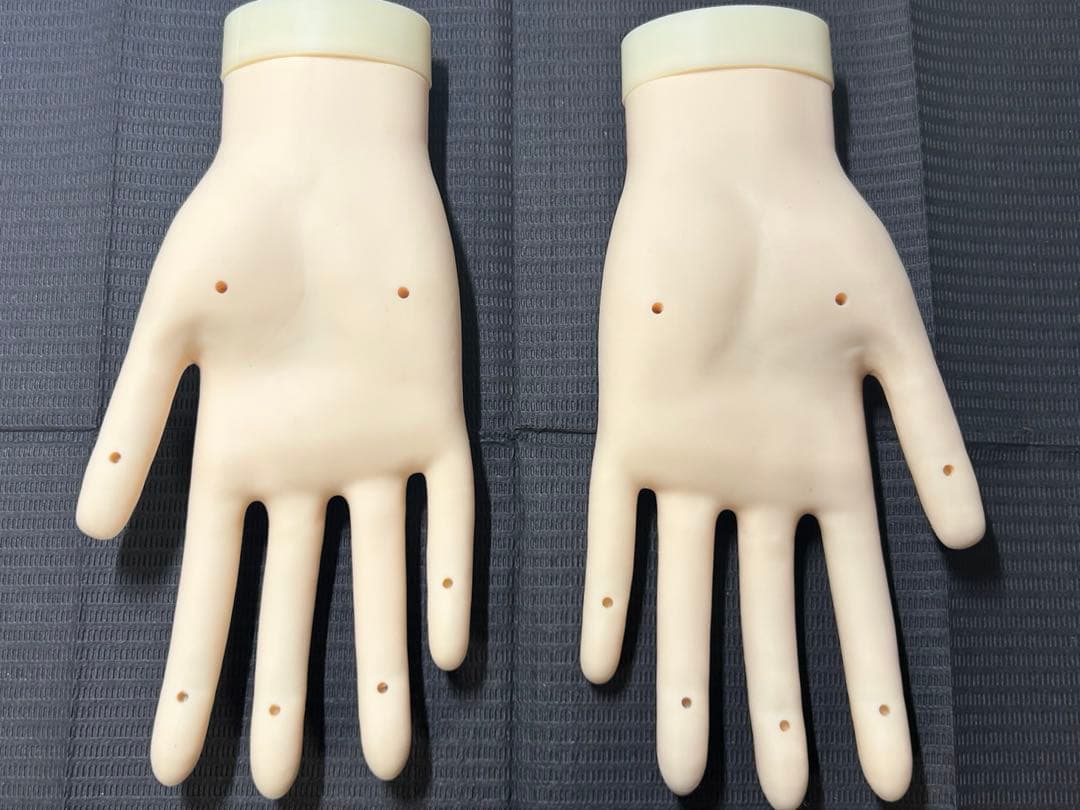 【骨折なし・箱付き】JNEC認定モデルハンド　キューティクルシール　チップ