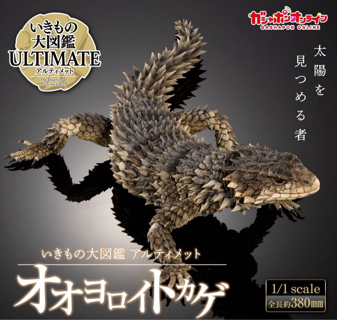 いきもの大図鑑アルティメット オオヨロイトカゲ 新品未開封 ⓵