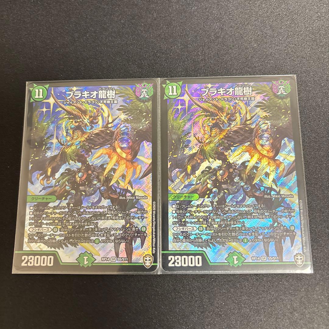 ブラキオ龍樹　①