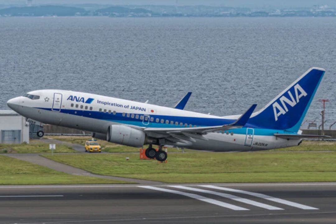 ANA Aviationtag B737-700 レアな薄青と白コンビ