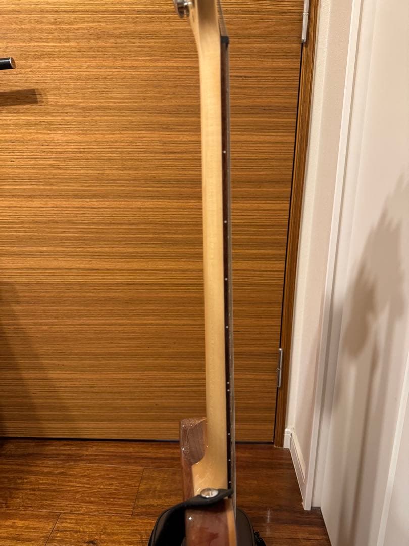 ギター SE Custom24 ryo.oyr621