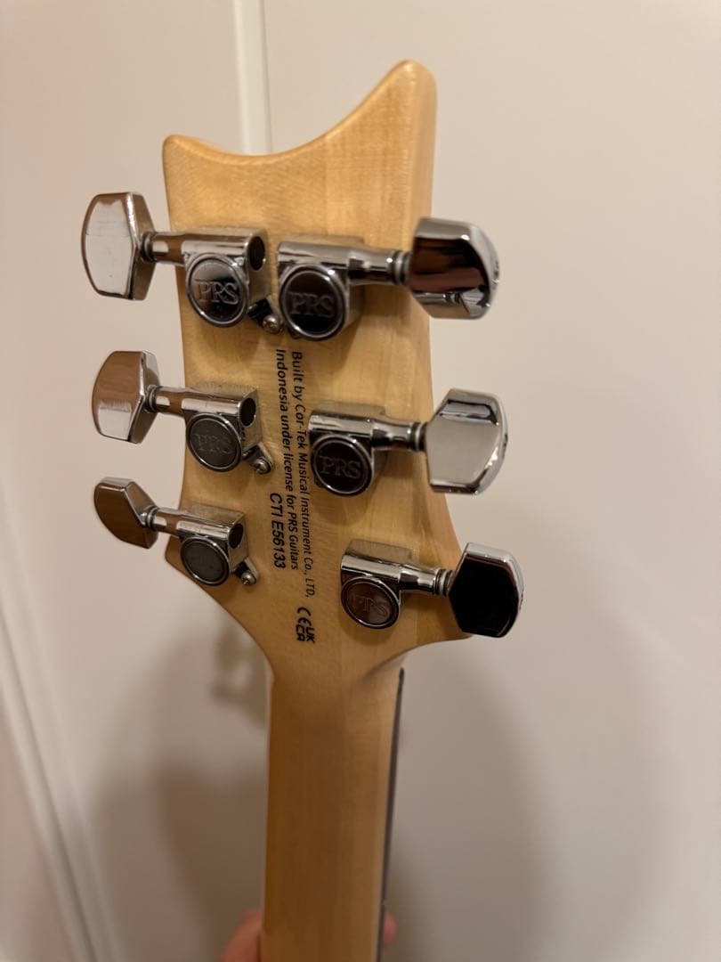 ギター SE Custom24 ryo.oyr621