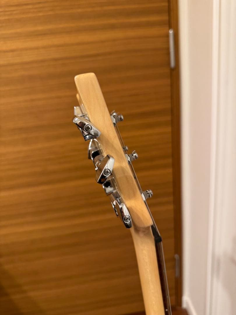 ギター SE Custom24 ryo.oyr621