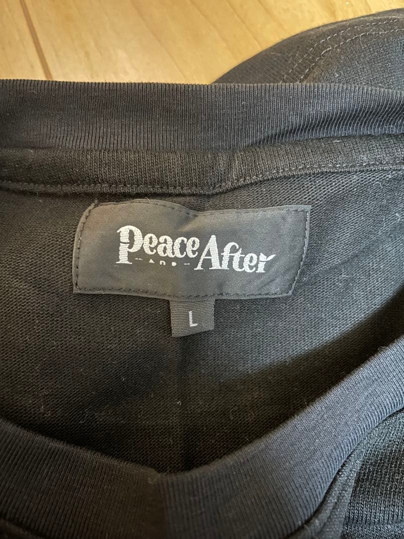 LINKIN PARK ドラゴン Tシャツ