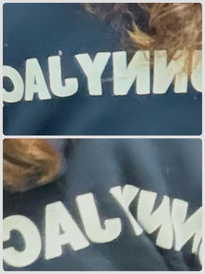 【新品未使用】ジャックバニー　東レ　軽量肉厚保温使用　オンライン限定　ウェア