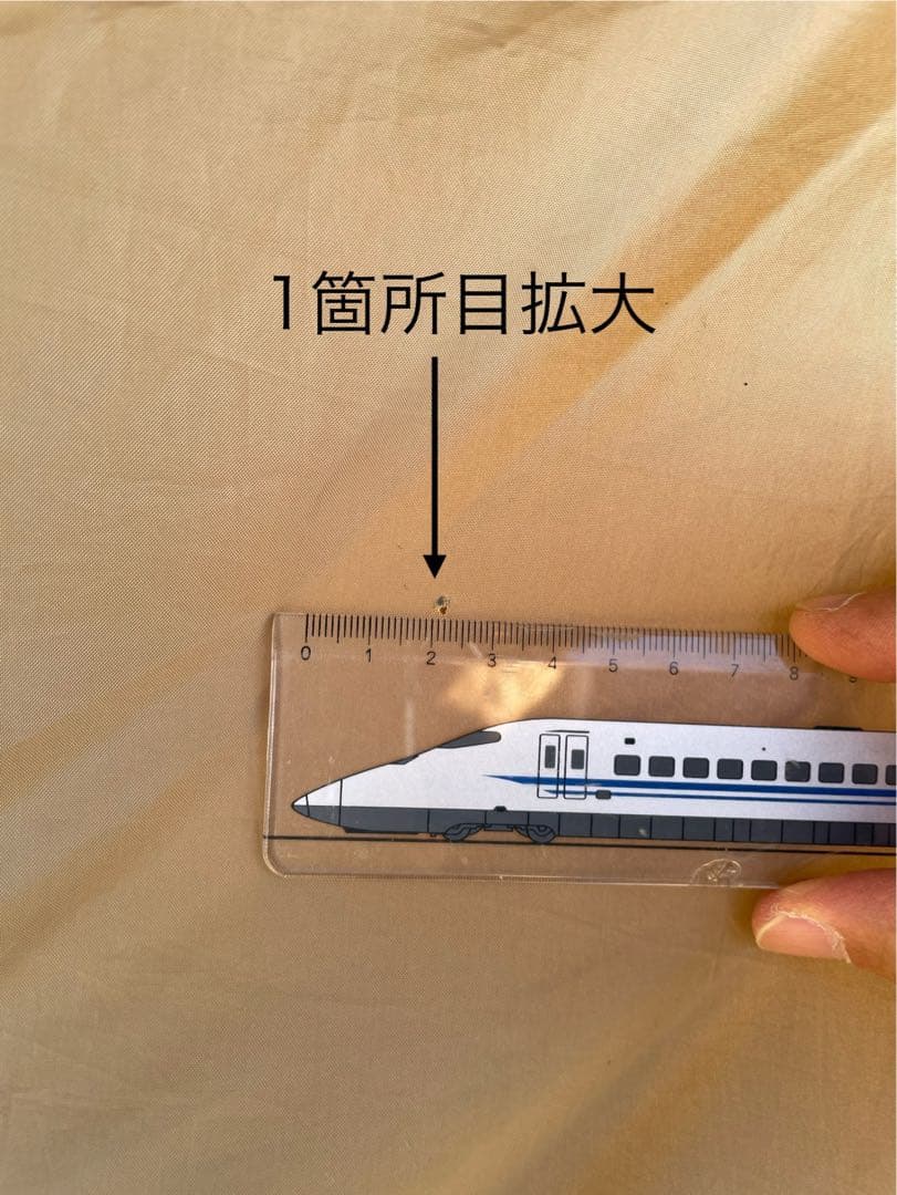 Ogawa Visas-II オガワ　ヴィガス2