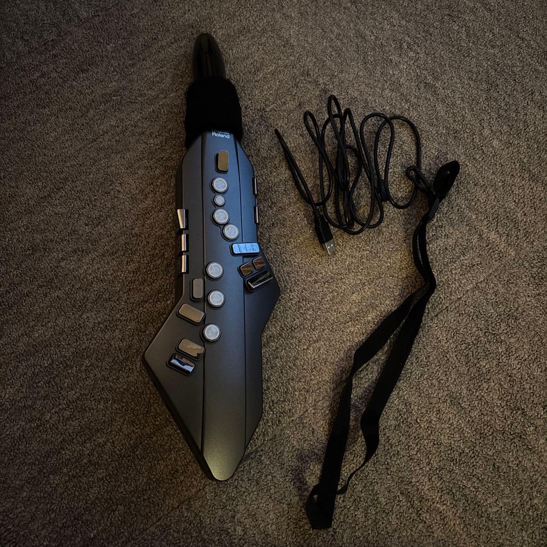 Roland AE-10 ローランド