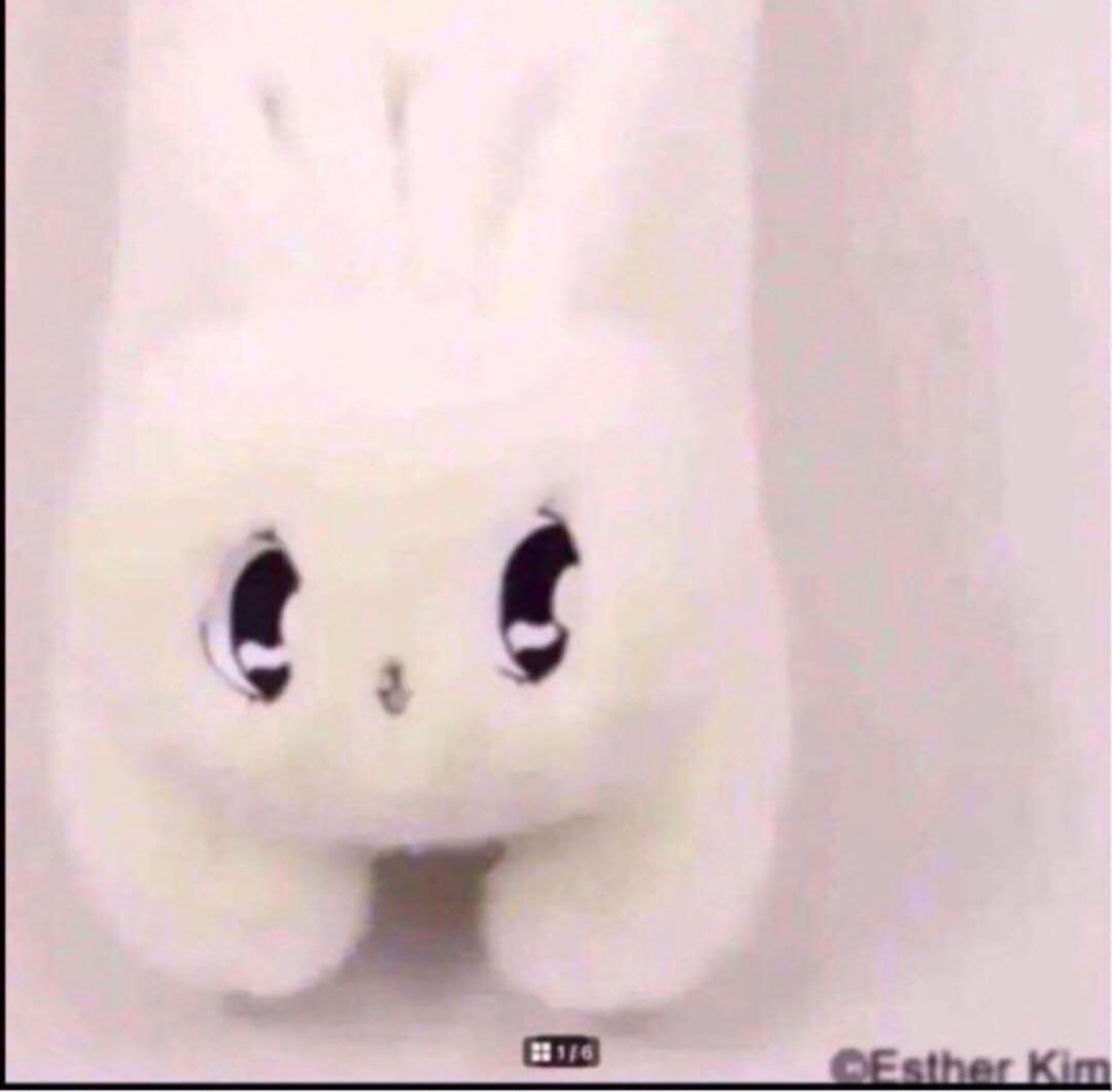 ラスト1点　WC エスターキム コラボ限定 ぬいぐるみクッション抱き枕　新品