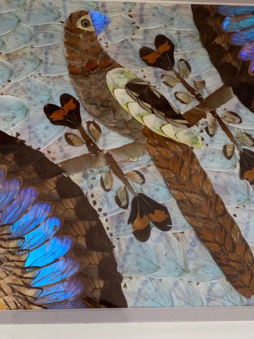 モルフォ蝶 羽絵 アート アンティーク インテリア 額装 羽細工 蝶標本 壁掛け