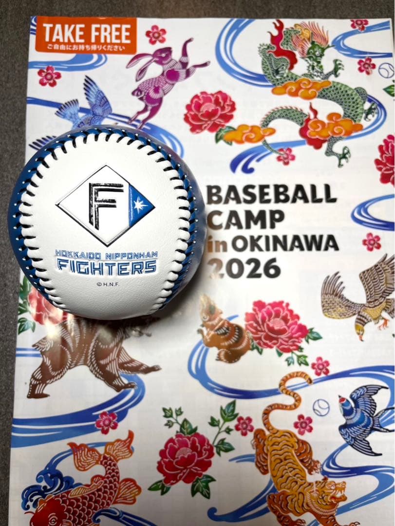 日本ハムファイターズ 達孝太 直筆サインボール 2026沖縄キャンプ