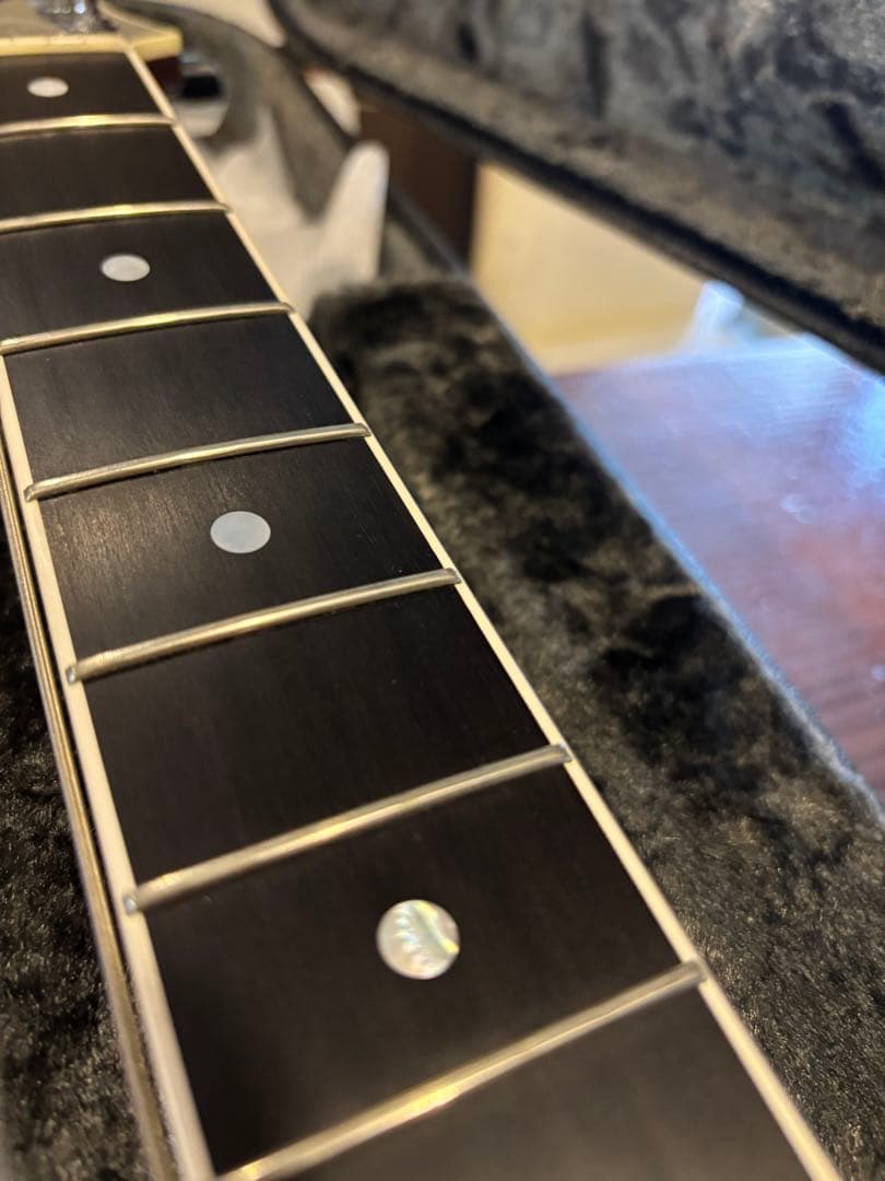 どん。zemaitis カスタムショップ　CS24MF メタルフロント