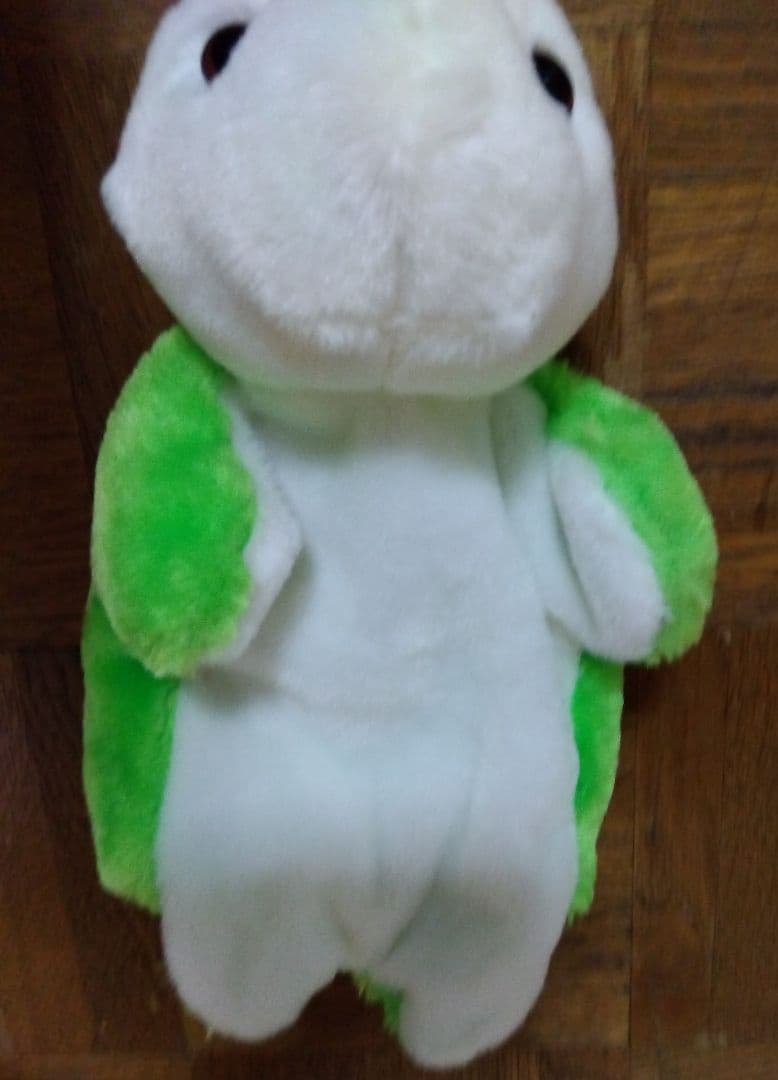 和楽器バンド亜沙カメぬいぐるみセット非売品亜沙カメセット