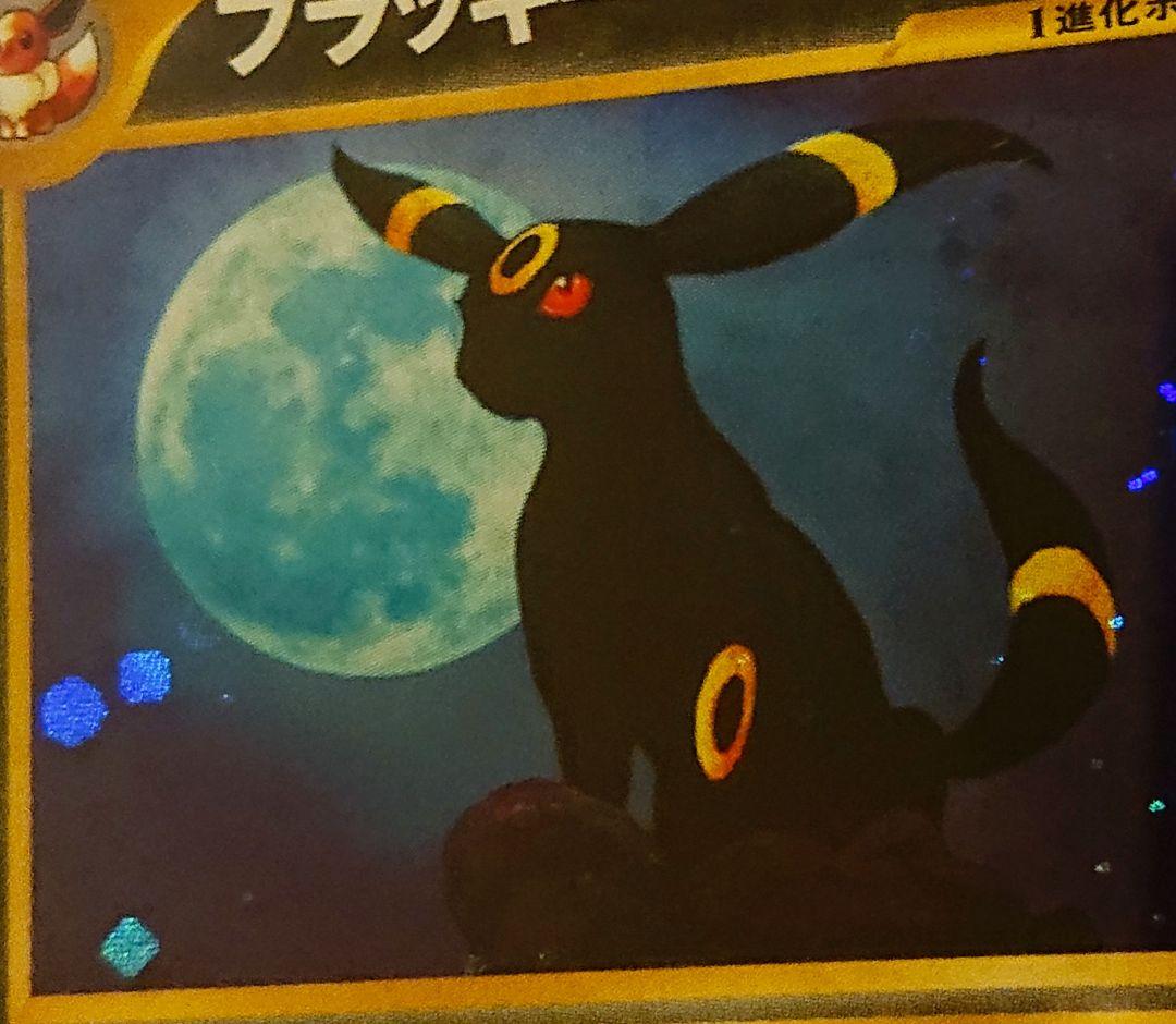 PSA10 ブラッキー　旧裏