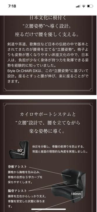 【美品】MTG Style Dr.CHAIR DX