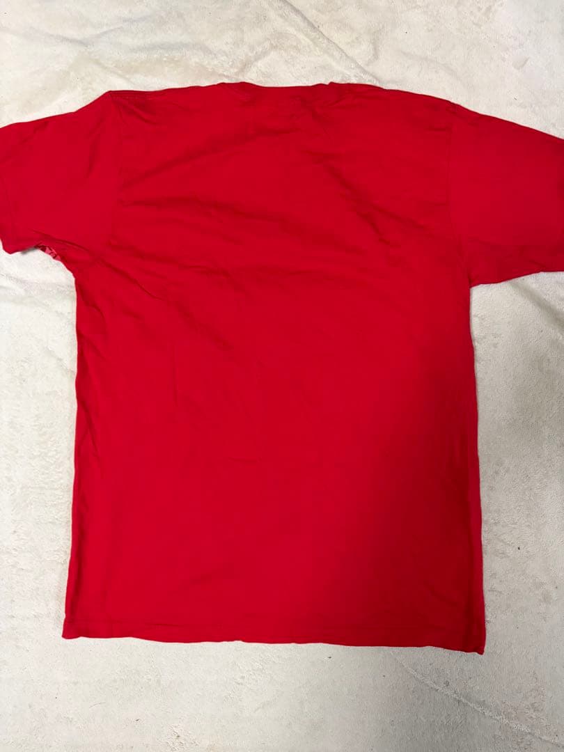 Cyndi Lauper（シンディ・ローパー）ライブグッズTシャツ 2008年