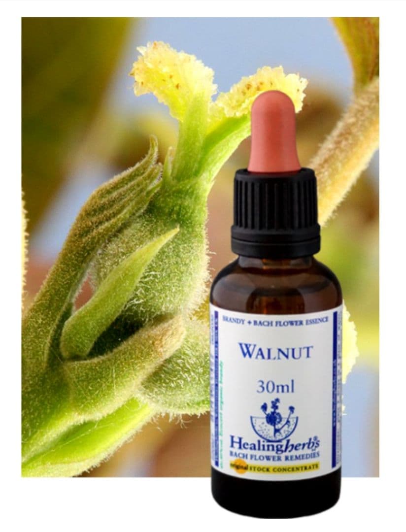 Nahoページ■30mlウォルナットヒーリングハーブス社フラワーエッセンス