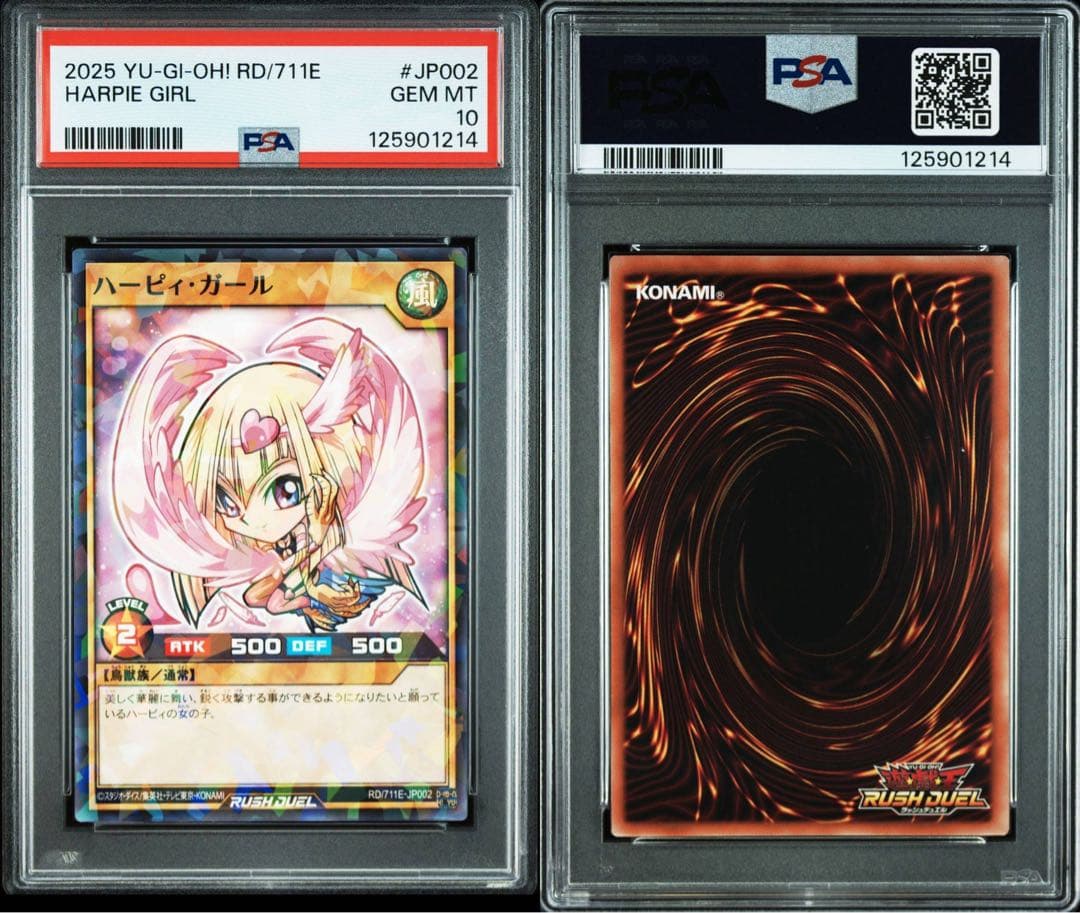 遊戯王OCG デュエルモンスターズ YU-GI-OH! JAPANESE 711E