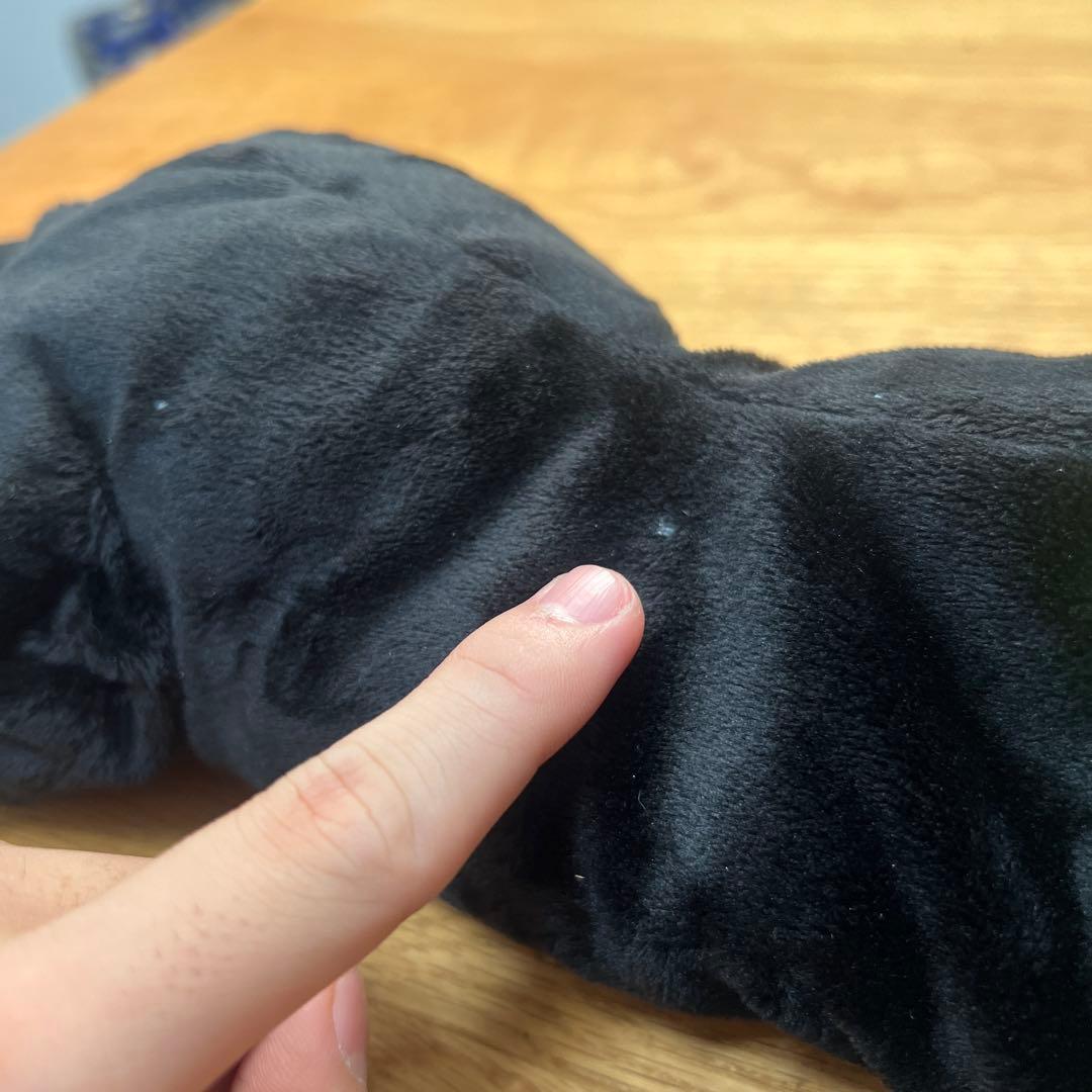 ペルソナ25周年　モルガナ　猫ver　ぬいぐるみ