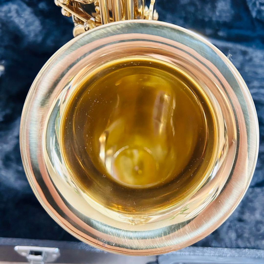 MAXTONE マックストーン アルトサックス ハードケース