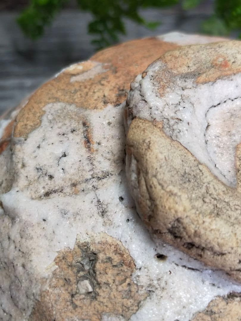 ♥とても古い　志野　茶碗　在銘【斗】　桐箱付き　古玩　骨董品　豊蔵　銘碗