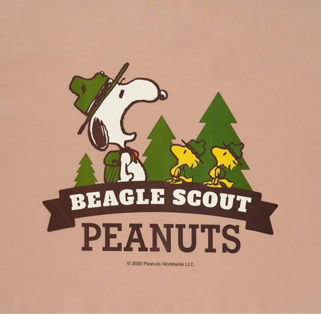 LOGOS SNOOPY(ロゴス スヌーピー)ウィングタープ