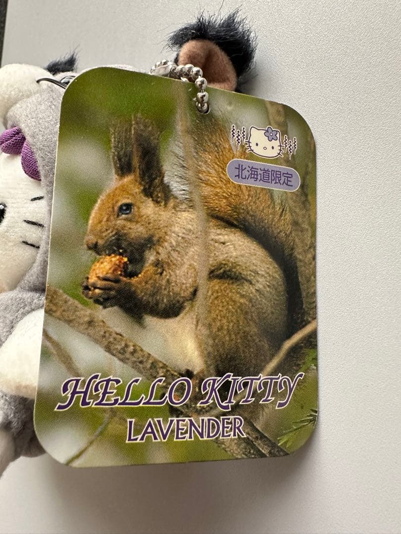 レア！ハローキティ 北海道限定 エゾリスキティ ぬいぐるみレトロ　ご当地