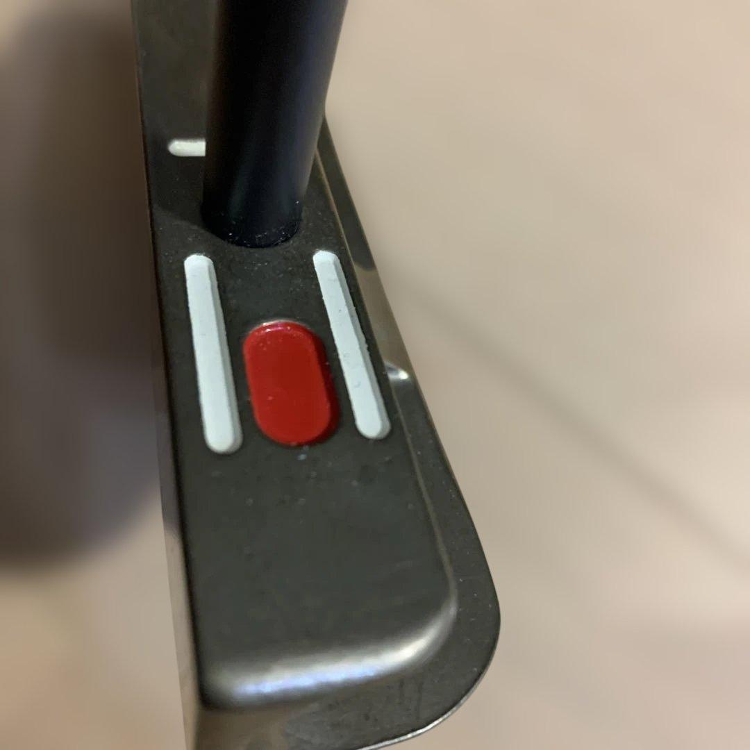 SeeMore FGP パター