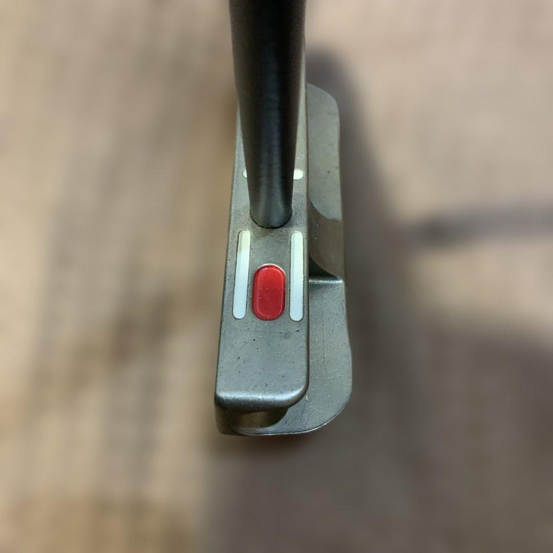 SeeMore FGP パター