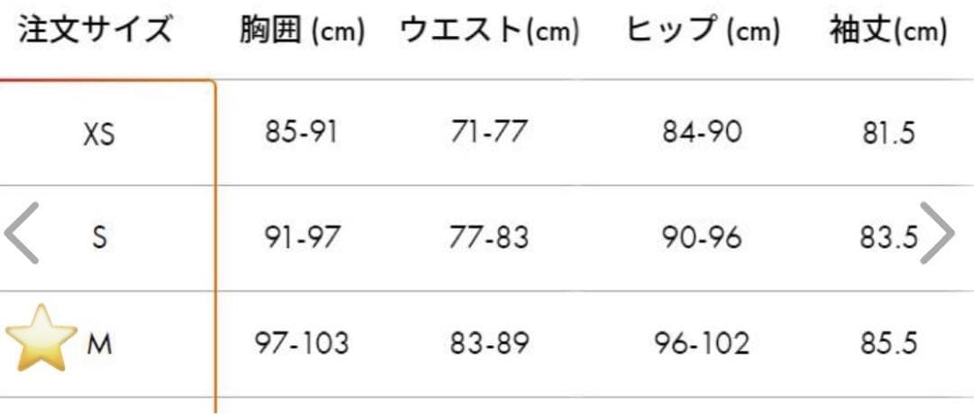SALOMON ゴアテックス ジャケット イエロー/ブラック