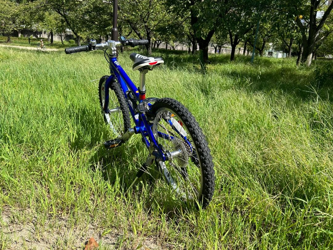 ルイガノ LGS－Ｊ２０６ 6段変速ギヤ 色：ブルー サイコン付